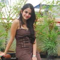 Actress Sheena Shahabadi latest Photos | Picture 46664